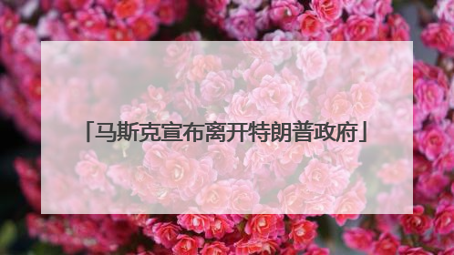 马斯克宣布离开特朗普政府