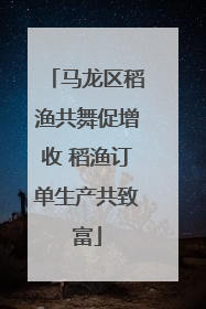 马龙区稻渔共舞促增收 稻渔订单生产共致富