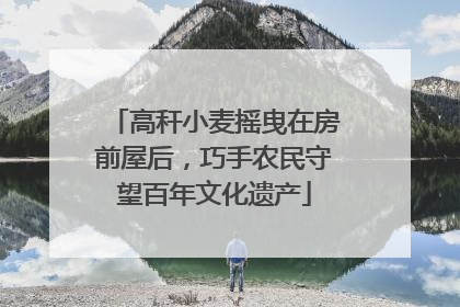 高秆小麦摇曳在房前屋后，巧手农民守望百年文化遗产