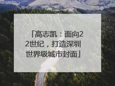 高志凯：面向22世纪，打造深圳世界级城市封面