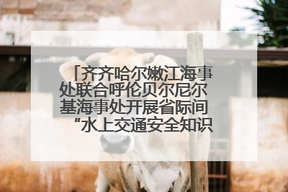 齐齐哈尔嫩江海事处联合呼伦贝尔尼尔基海事处开展省际间“水上交通安全知识进校园”活动