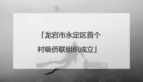 龙岩市永定区首个村级侨联组织成立