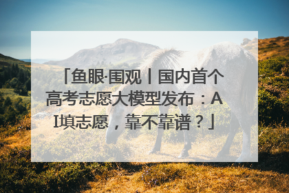 鱼眼·围观丨国内首个高考志愿大模型发布：AI填志愿，靠不靠谱？