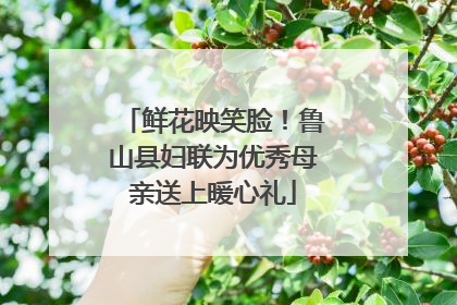 鲜花映笑脸！鲁山县妇联为优秀母亲送上暖心礼