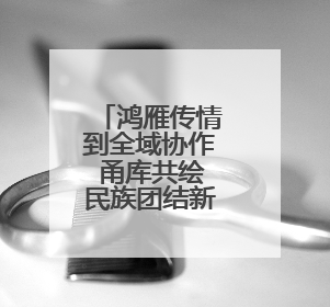 鸿雁传情到全域协作 甬库共绘民族团结新图景