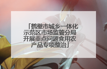 鹤壁市城乡一体化示范区市场监管分局开展重点问题食用农产品专项整治
