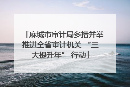 麻城市审计局多措并举推进全省审计机关 “三大提升年” 行动