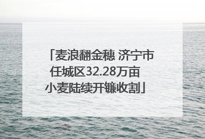 麦浪翻金穗 济宁市任城区32.28万亩小麦陆续开镰收割