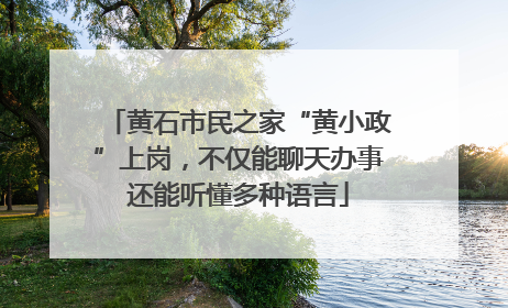 黄石市民之家“黄小政”上岗，不仅能聊天办事还能听懂多种语言