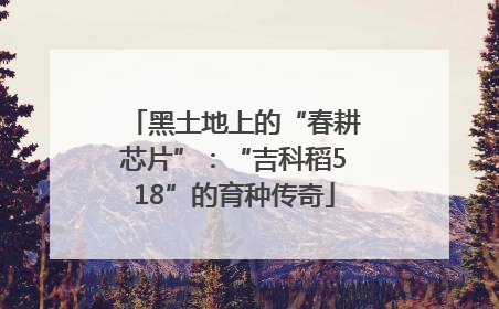 黑土地上的“春耕芯片”：“吉科稻518”的育种传奇