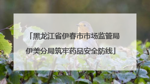 黑龙江省伊春市市场监管局伊美分局筑牢药品安全防线