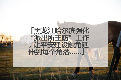 黑龙江哈尔滨强化“派出所主防”工作，让平安建设触角延伸到每个角落……
