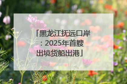 黑龙江抚远口岸：2025年首艘出境货船出港