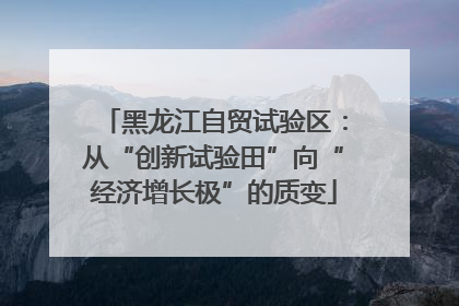 黑龙江自贸试验区：从“创新试验田”向“经济增长极”的质变