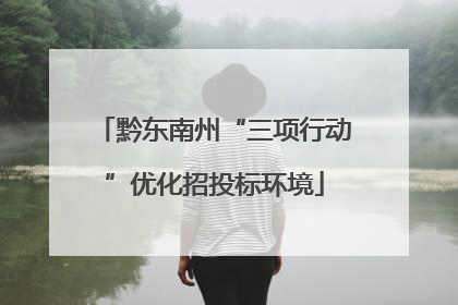黔东南州“三项行动”优化招投标环境