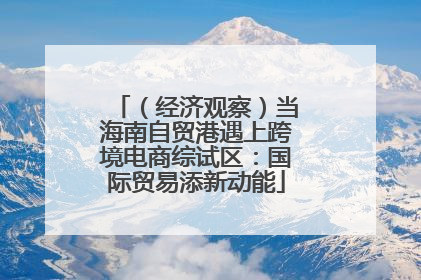 （经济观察）当海南自贸港遇上跨境电商综试区：国际贸易添新动能