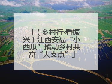 （乡村行·看振兴）江西安福“小西瓜”撬动乡村共富“大支点”