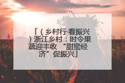 （乡村行·看振兴）浙江乡村：时令果蔬迎丰收 “甜蜜经济”促振兴
