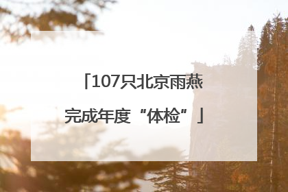 107只北京雨燕完成年度“体检”