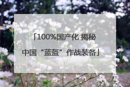 100%国产化 揭秘中国“蓝盔”作战装备