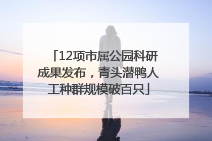 12项市属公园科研成果发布，青头潜鸭人工种群规模破百只