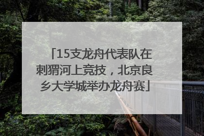 15支龙舟代表队在刺猬河上竞技，北京良乡大学城举办龙舟赛