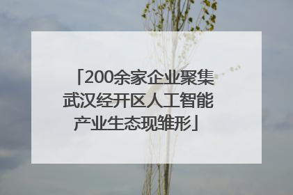 200余家企业聚集 武汉经开区人工智能产业生态现雏形