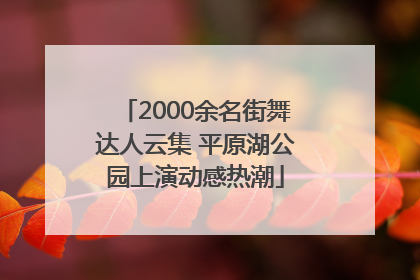 2000余名街舞达人云集 平原湖公园上演动感热潮
