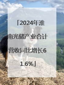 2024年淮南光储产业合计营收同比增长61.6%