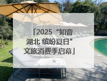 2025“知音湖北 缤纷夏日”文旅消费季启幕