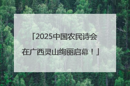 2025中国农民诗会在广西灵山绚丽启幕！