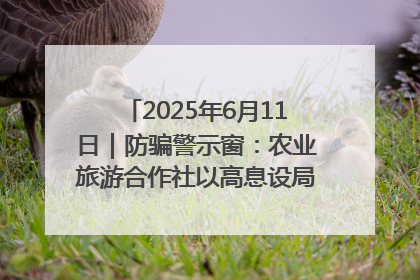 2025年6月11日｜防骗警示窗：农业旅游合作社以高息设局，集资380万