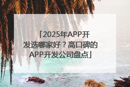 2025年APP开发选哪家好？高口碑的APP开发公司盘点