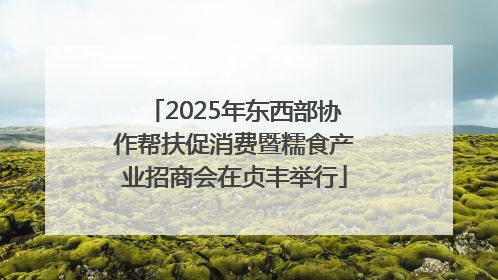 2025年东西部协作帮扶促消费暨糯食产业招商会在贞丰举行