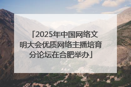 2025年中国网络文明大会优质网络主播培育分论坛在合肥举办