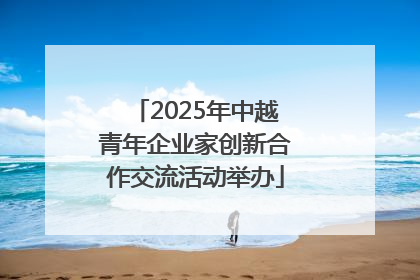 2025年中越青年企业家创新合作交流活动举办