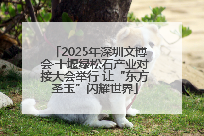 2025年深圳文博会·十堰绿松石产业对接大会举行 让“东方圣玉”闪耀世界