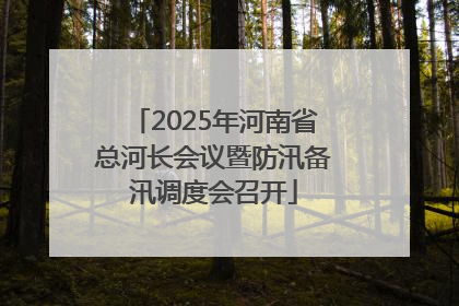 2025年河南省总河长会议暨防汛备汛调度会召开