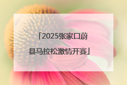 2025张家口蔚县马拉松激情开赛