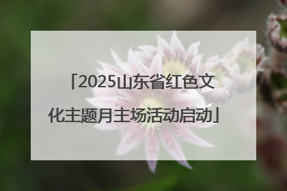 2025山东省红色文化主题月主场活动启动