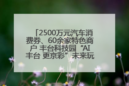 2500万元汽车消费券、60余家特色商户 丰台科技园“AI丰台 更京彩”未来玩家市集活动正式开幕