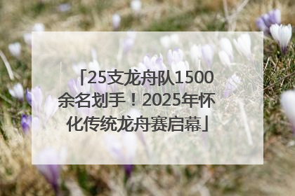 25支龙舟队1500余名划手！2025年怀化传统龙舟赛启幕