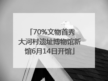 70%文物首秀 大河村遗址博物馆新馆6月14日开馆