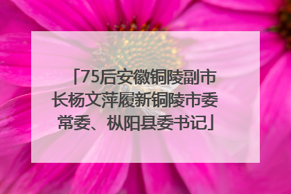 75后安徽铜陵副市长杨文萍履新铜陵市委常委、枞阳县委书记