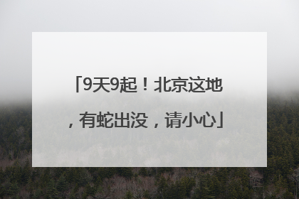 9天9起！北京这地，有蛇出没，请小心