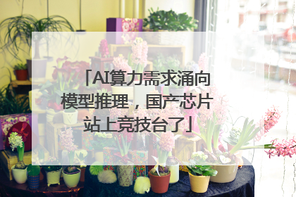 AI算力需求涌向模型推理，国产芯片站上竞技台了
