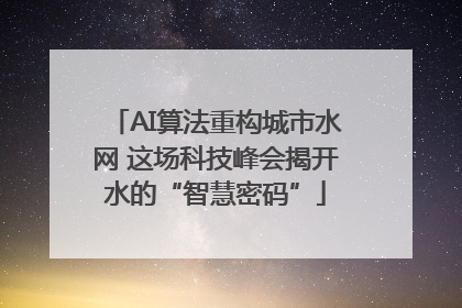 AI算法重构城市水网 这场科技峰会揭开水的“智慧密码”