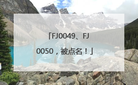 FJ0049、FJ0050，被点名！