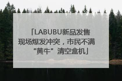 LABUBU新品发售现场爆发冲突，市民不满“黄牛”清空盒机