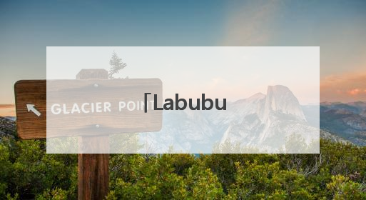 Labubu背后的男人